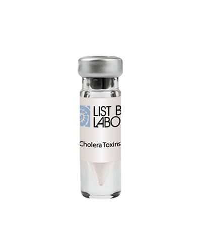 Cholera Toxin B Subunit (Choleragenoid) in low salt (Terms 1, 7 & 8)