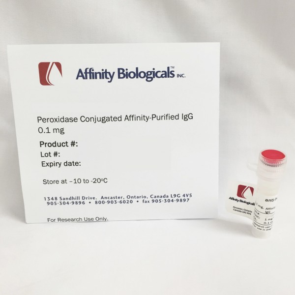 Anti-Human Antithrombin (ATIII) Sheep, affinity purified peroxidase conjugated IgG