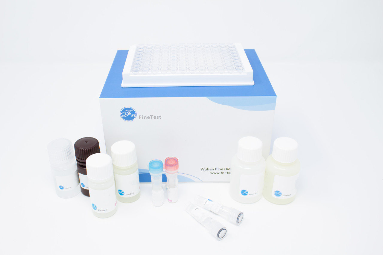 Human Tf F Tissue Factor Elisa Kit Quadratech Diagnostics