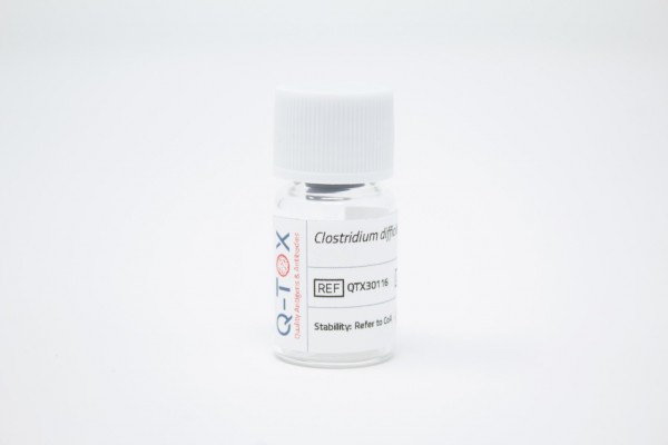 Clostridium difficile Toxin B (50µg)