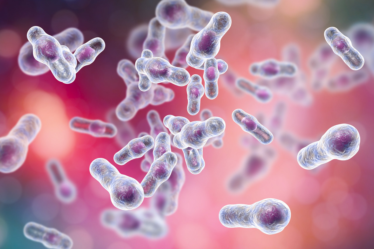 Clostridium Difficile Toxoid B | Quadratech Diagnostics