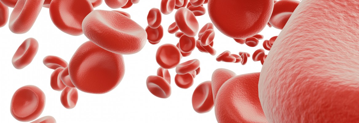 Red blood cells